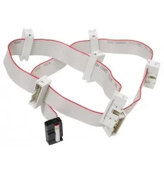 Flexbus 50cm - 7 male / 2 female connectors