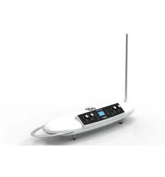 Moog Theremini