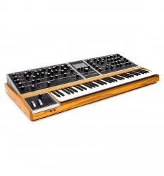 Moog One - 16 voice